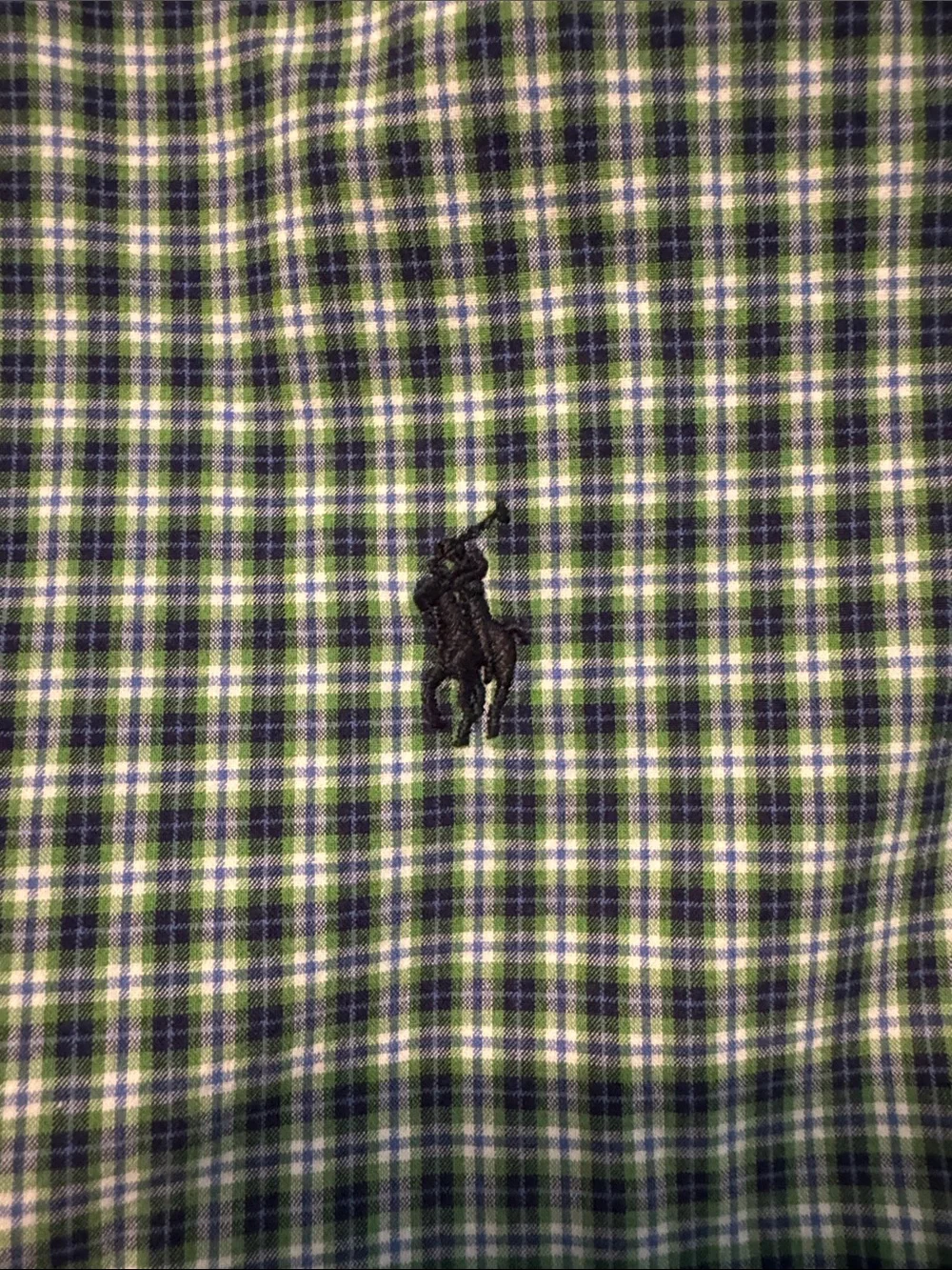 Boys Ralph Lauren Plaid Button-Down Shirt - Green & Navy with navy horse 14/16
